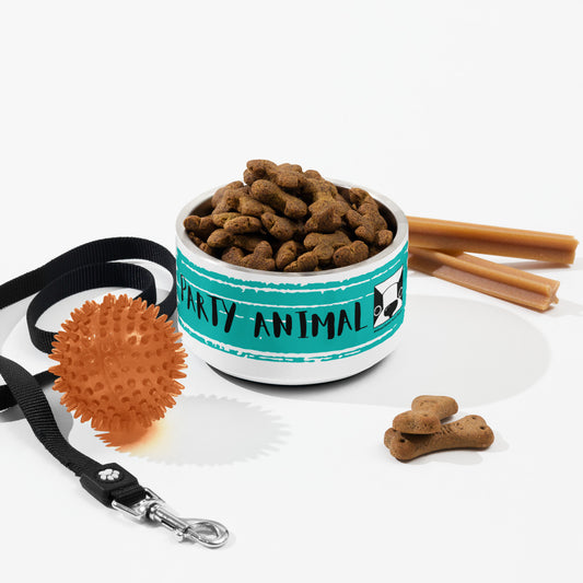 Party Animal Pet bowl